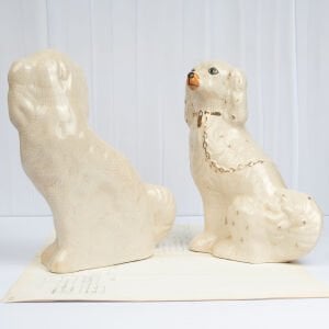 Büyük Beyaz Staffordshire Köpekleri