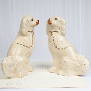 Büyük Beyaz Staffordshire Köpekleri