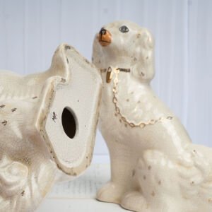 Büyük Beyaz Staffordshire Köpekleri