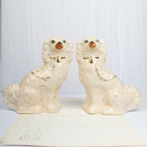 Büyük Beyaz Staffordshire Köpekleri