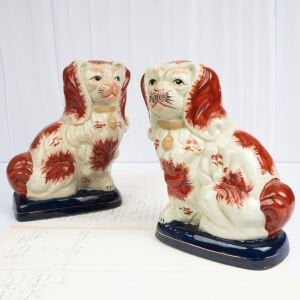 Lacivert Bazalı Staffordshire Köpekleri