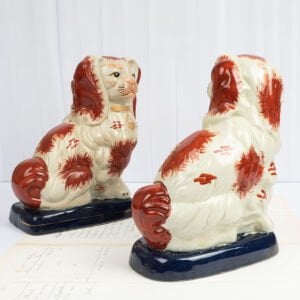 Lacivert Bazalı Staffordshire Köpekleri
