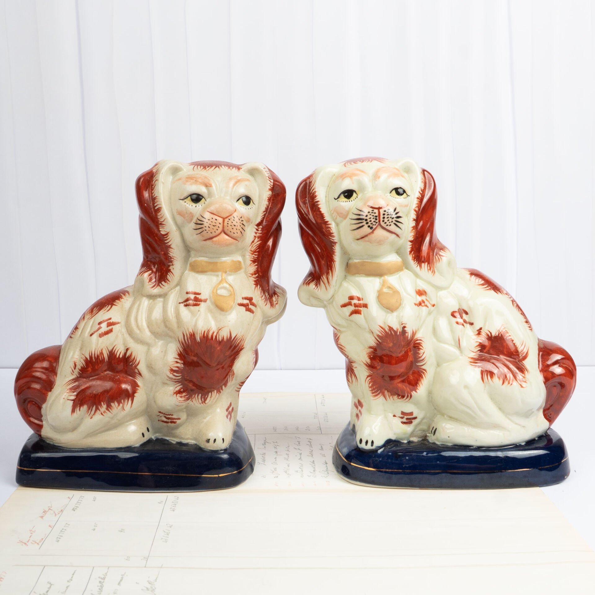 Lacivert Bazalı Staffordshire Köpekleri