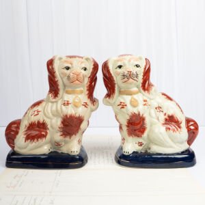 Lacivert Bazalı Staffordshire Köpekleri
