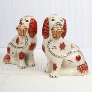 King Charles Spaniel Staffordshire Köpekleri